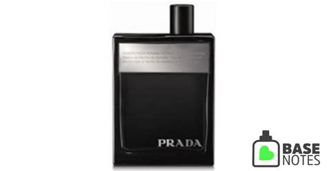 prada amber intense basenotes|does Prada still make amber.